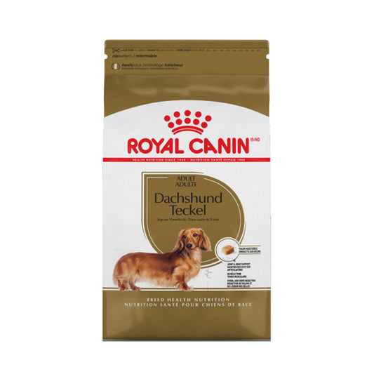 Dachshund Adult Royal Canin