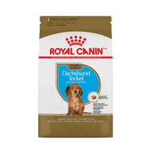 Dachshund Puppy Royal Canin
