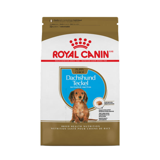 Dachshund Puppy Royal Canin
