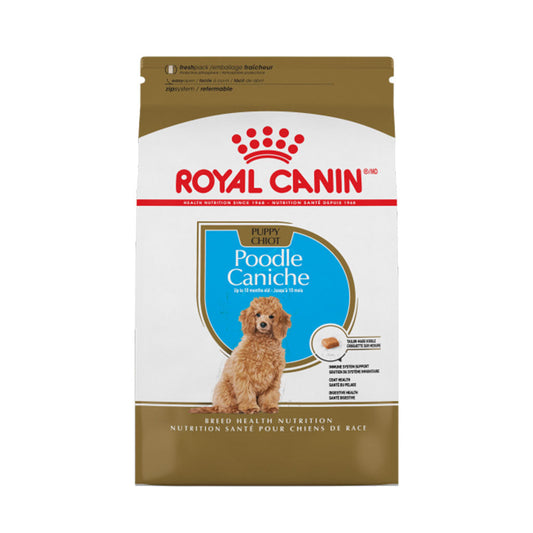 Poodle Puppy Royal Canin