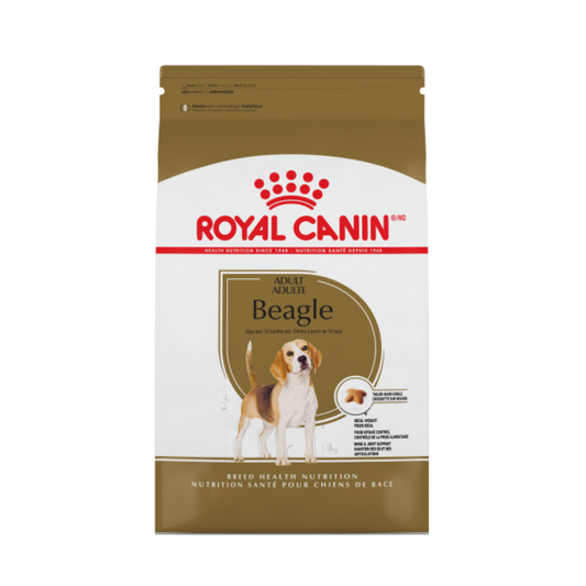 Beagle Adult Royal Canin