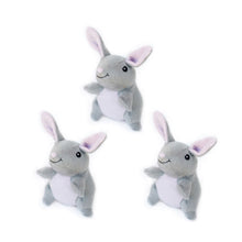 Miniz Bunnies ZippyPaws