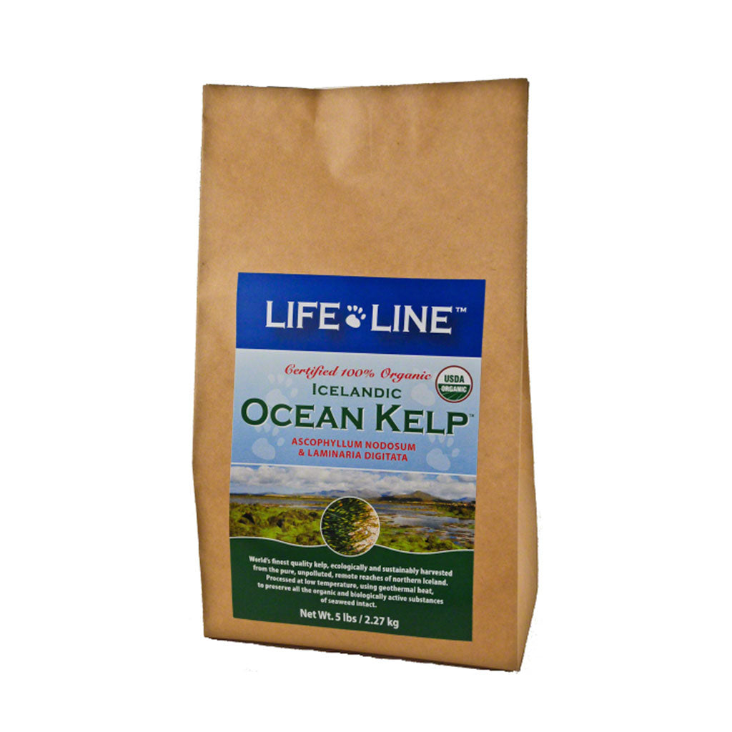 Organic Ocean Kelp Lifeline