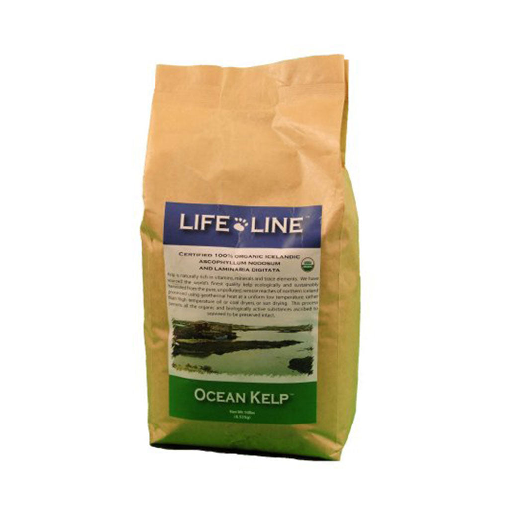 Organic Ocean Kelp Lifeline