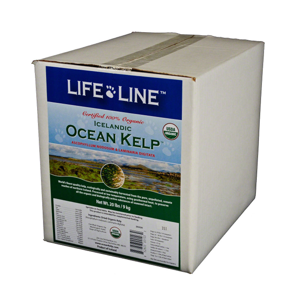 Organic Ocean Kelp Lifeline
