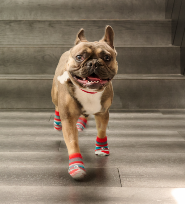 Fun PAWks URBAN PAW PETS