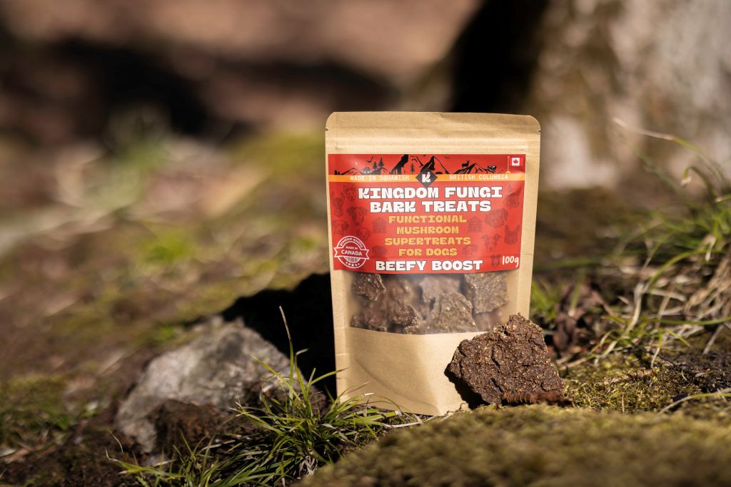 Beefy Boost URBAN PAW PETS