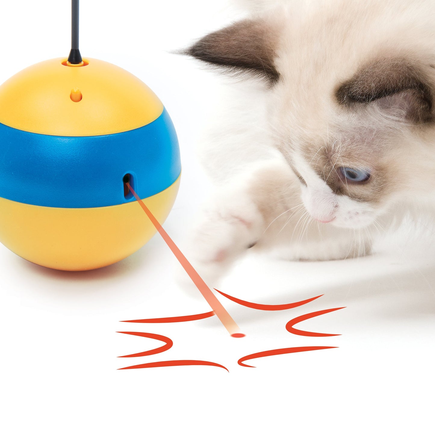 Catit Play Spinning Bee URBAN PAW PETS