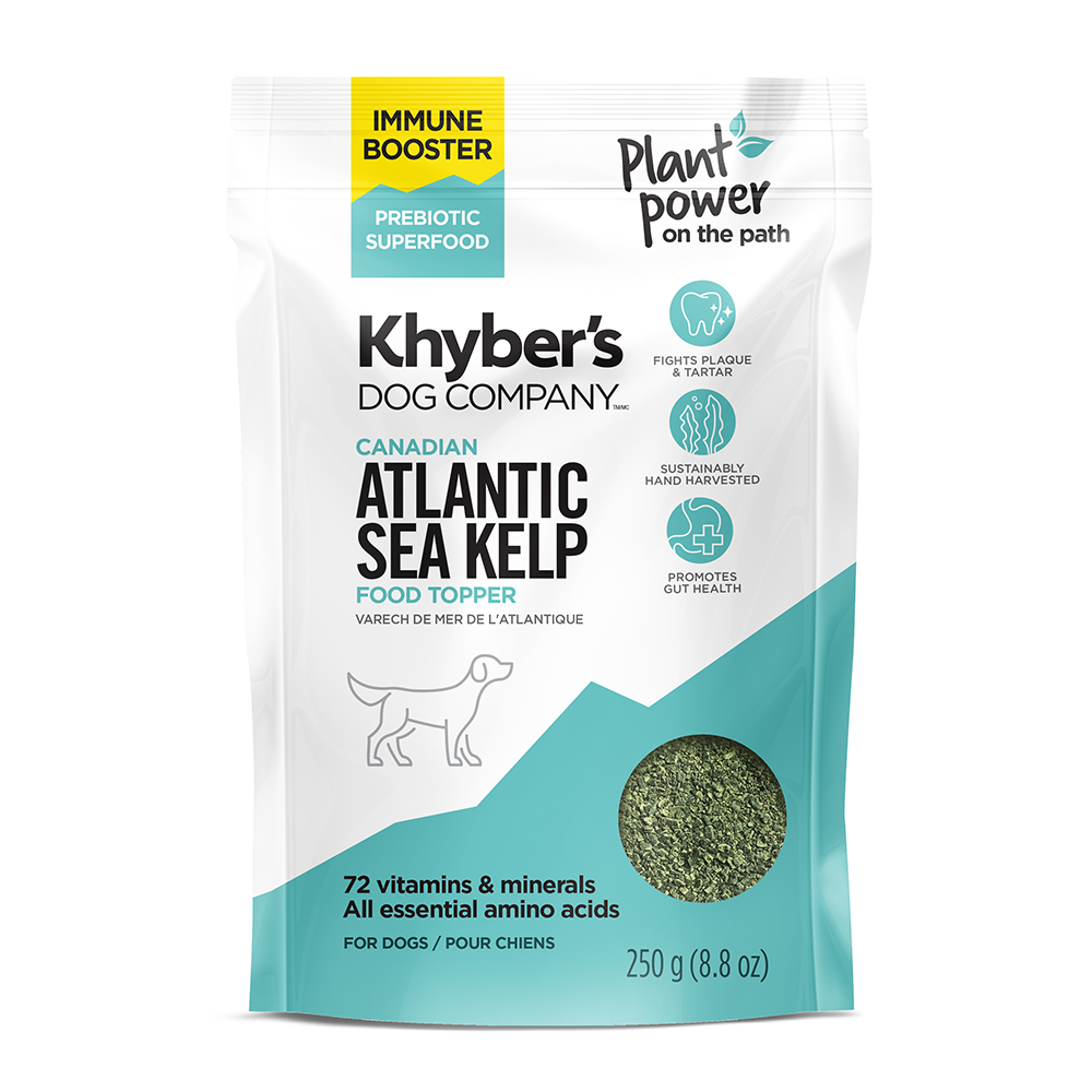 100% Organic Canadian Atlantic Sea Kelp Superfood Topper - Prebiotic
