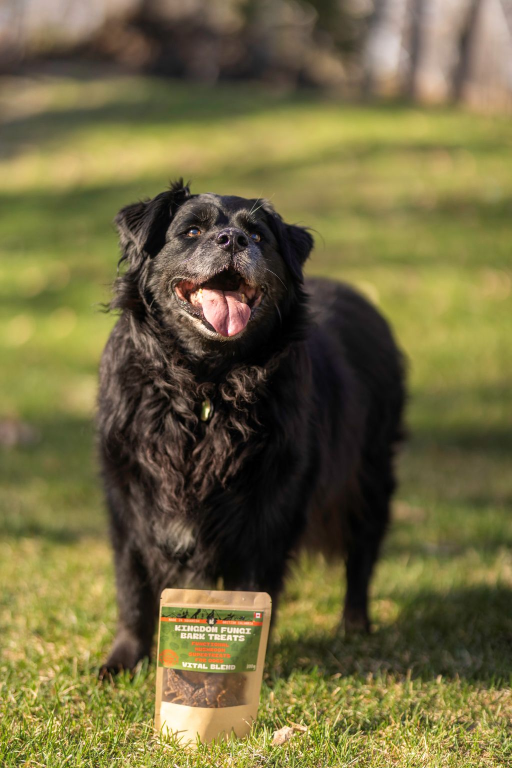 Vital Blend URBAN PAW PETS