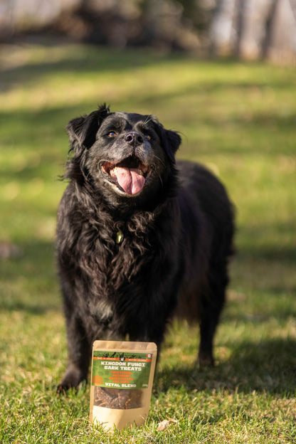 Vital Blend URBAN PAW PETS
