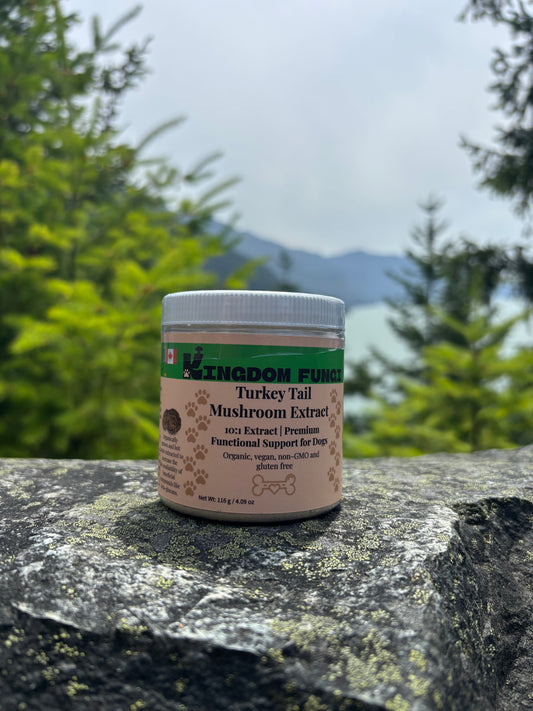 Turkey Tail Mushroom Extract Powder URBAN PAW PETS