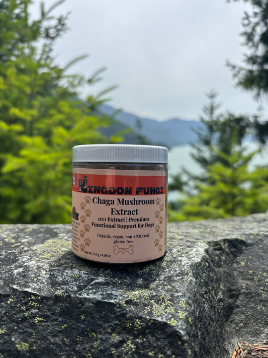 Chaga Mushroom Extract Powder URBAN PAW PETS