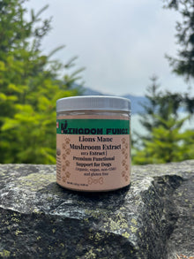 Lion’s Mane Mushroom Extract Powder URBAN PAW PETS