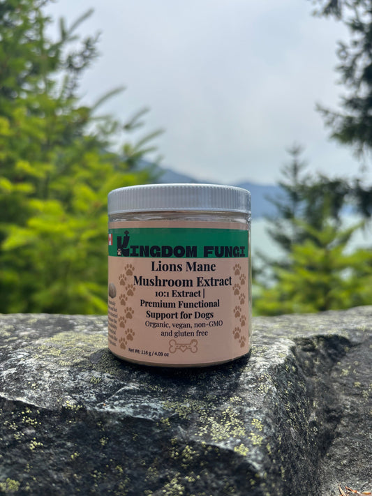 Lion’s Mane Mushroom Extract Powder URBAN PAW PETS