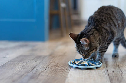 Messy Cats - Interactive Slow Feeder 6" URBAN PAW PETS