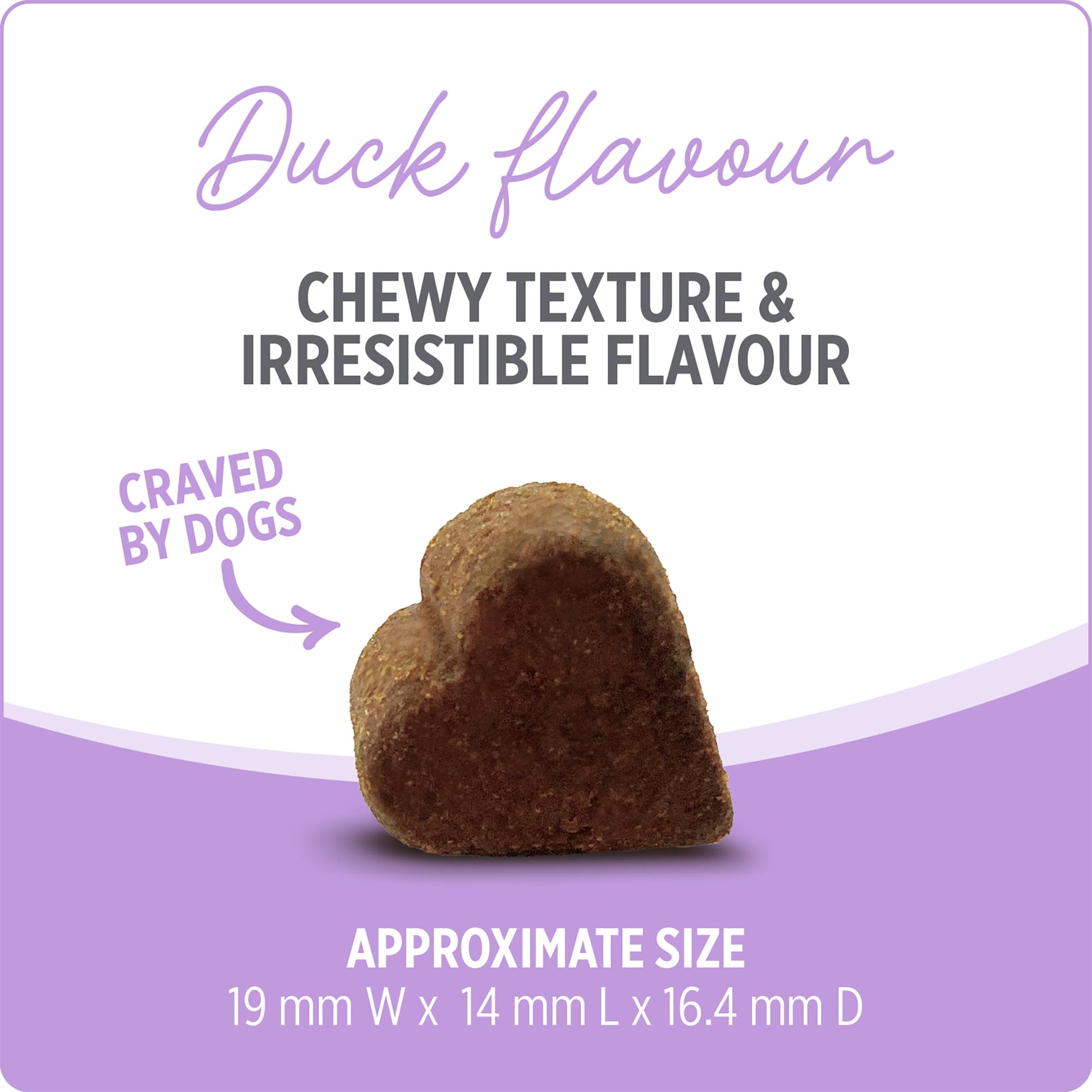 Nutrience Care Supplement for Dogs - Hip & Joint - 100 soft chews - 400 g URBAN PAW PETS