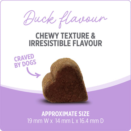 Nutrience Care Supplement for Dogs - Hip & Joint - 100 soft chews - 400 g URBAN PAW PETS