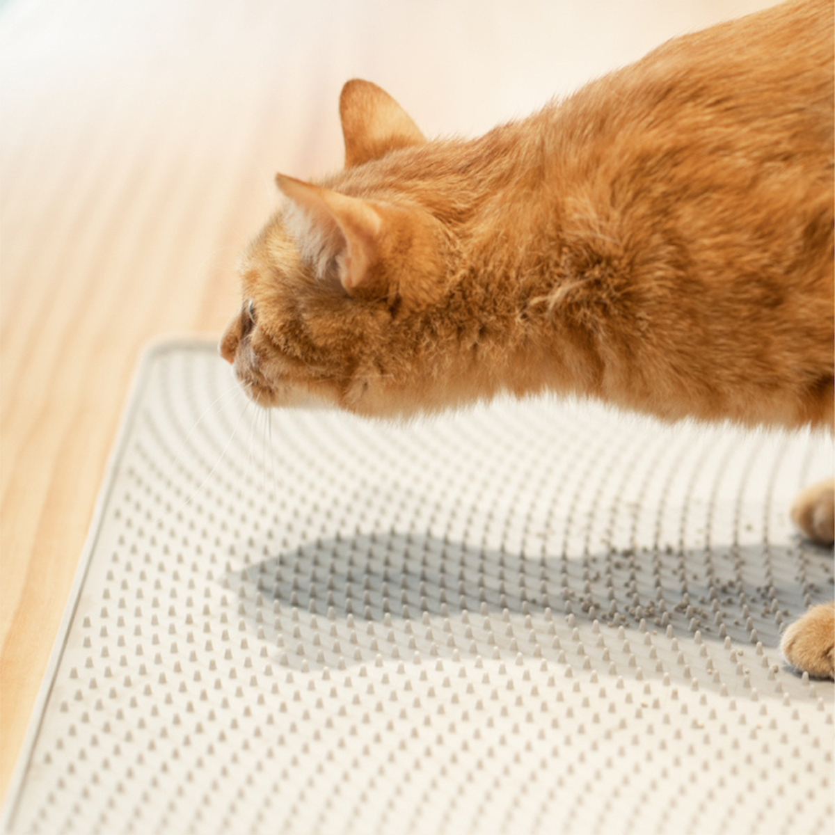 Pidan Cat Litter Mat URBAN PAW PETS