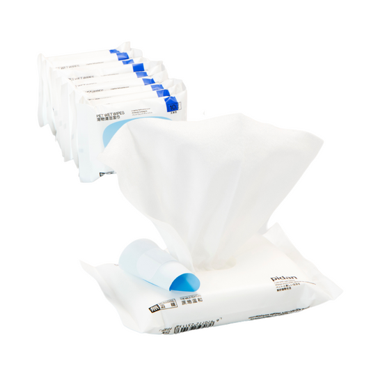 Pidan Pet Wet Wipes – Travel Pack (10 Sheets per Pack, 10 Packs, Total 100 Sheets) URBAN PAW PETS