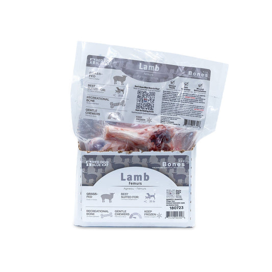 Lamb Femur Red Dog Blue Kat