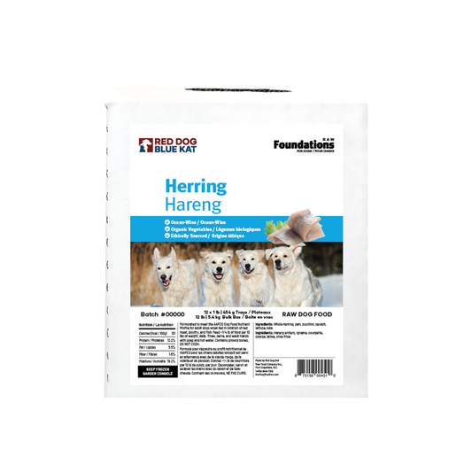 Foundations Herring Recipe for Dogs - Bulk (12 x 1lb) Red Dog Blue Kat