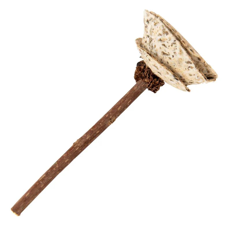 Natural Cat Toy - Catnip - Toy - Paper - Flower