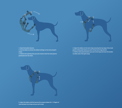 Moto Control Harness URBAN PAW PETS