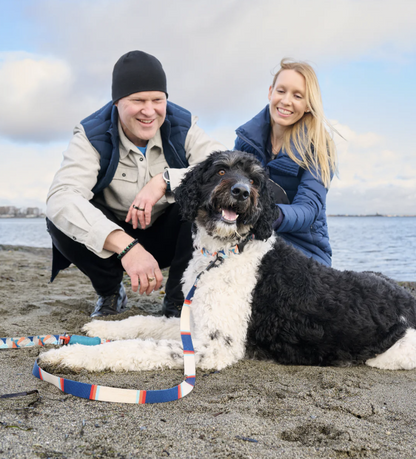 Eco Leash URBAN PAW PETS