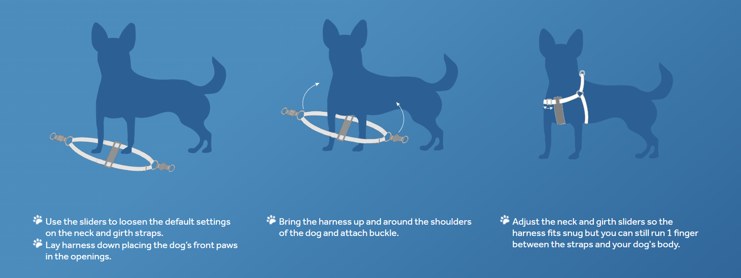 Petite Primary Step In Harness URBAN PAW PETS