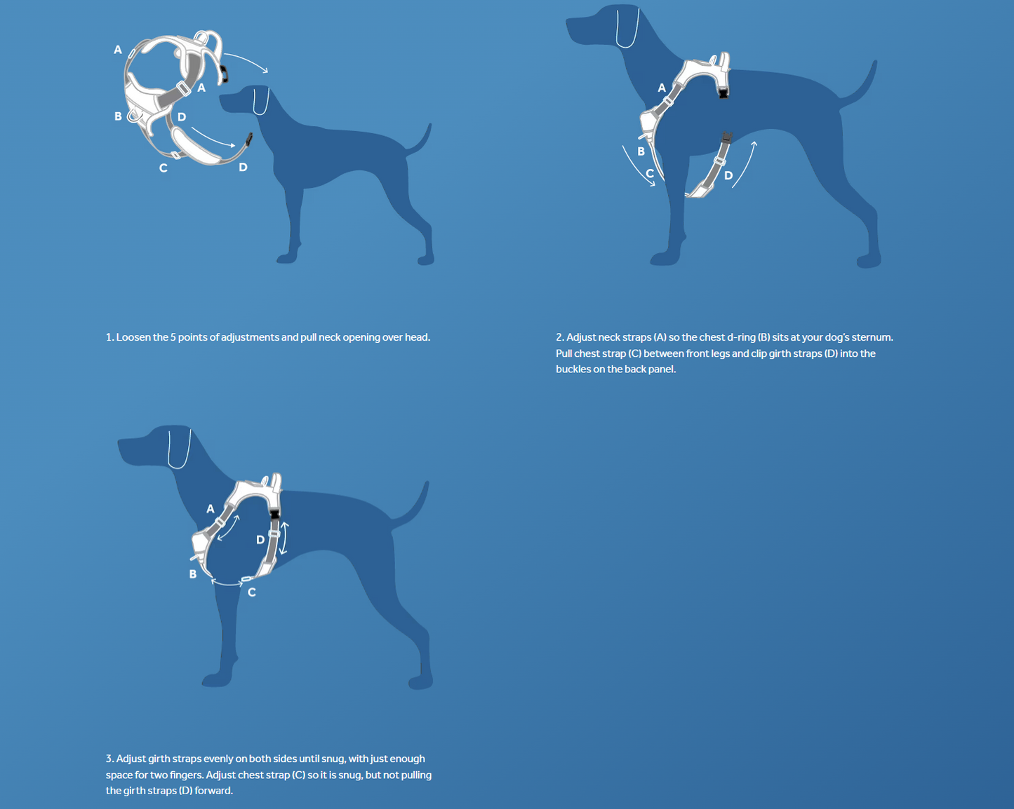 Momentum Control Harness URBAN PAW PETS