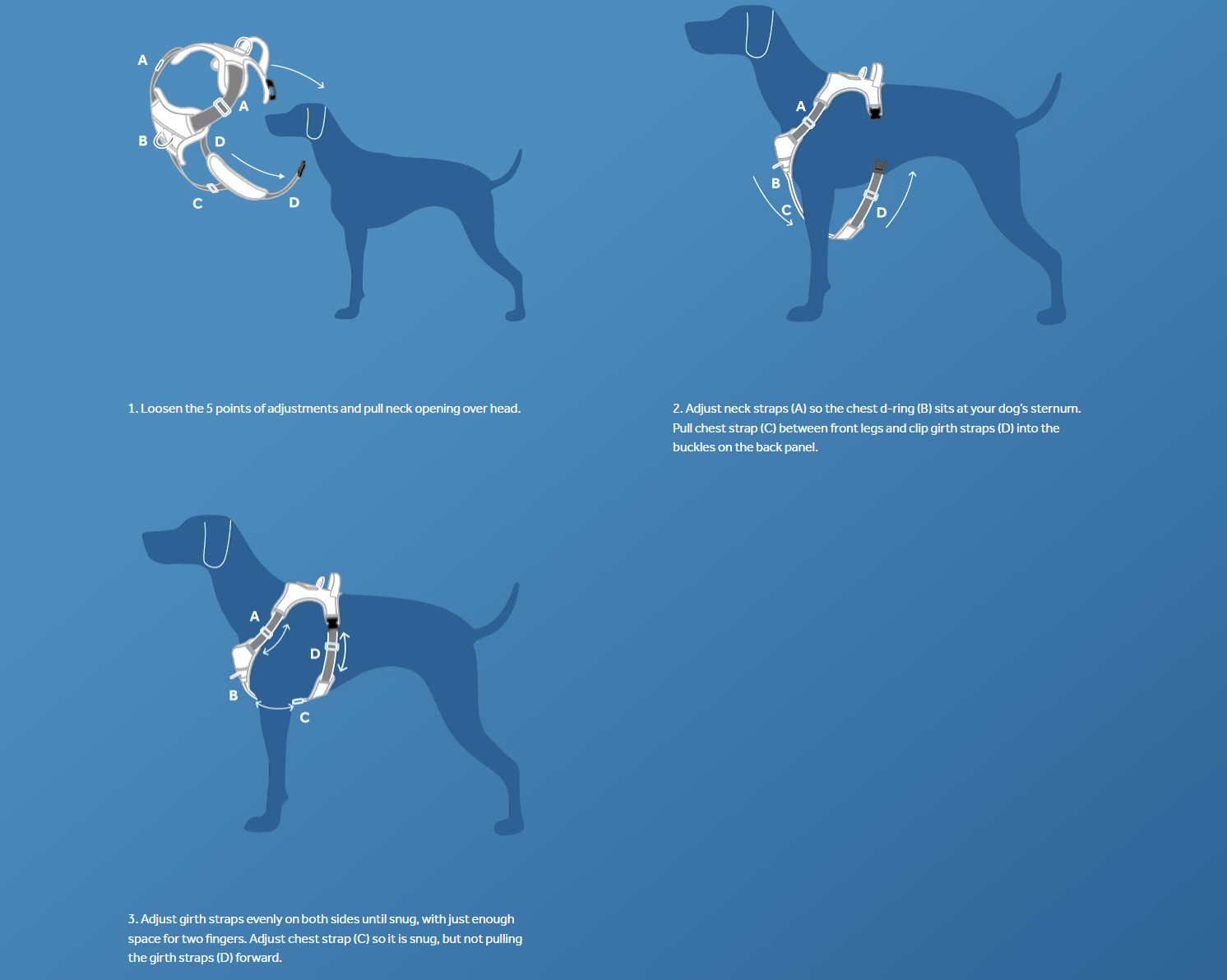 Momentum Control Harness URBAN PAW PETS