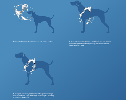 Momentum Control Harness URBAN PAW PETS