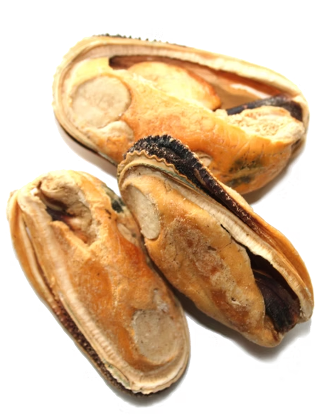 NZ Natural Pet Food Co - Freeze Dried - Treats - Woof - Green Lipped Mussels - 50g