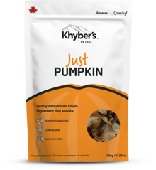 Just Pumpkin