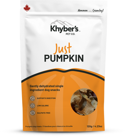 Just Pumpkin