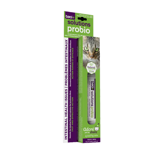 Baci+- Solution Probio Cat (Probiotic Paste) 15g URBAN PAW PETS