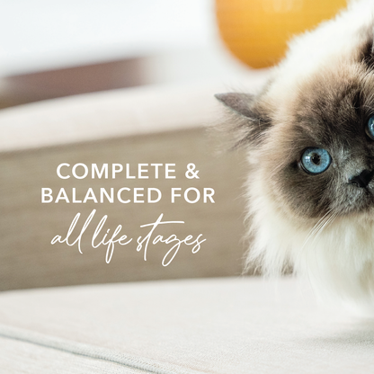 Feline Natural - Canned - Beef & Hoki feast