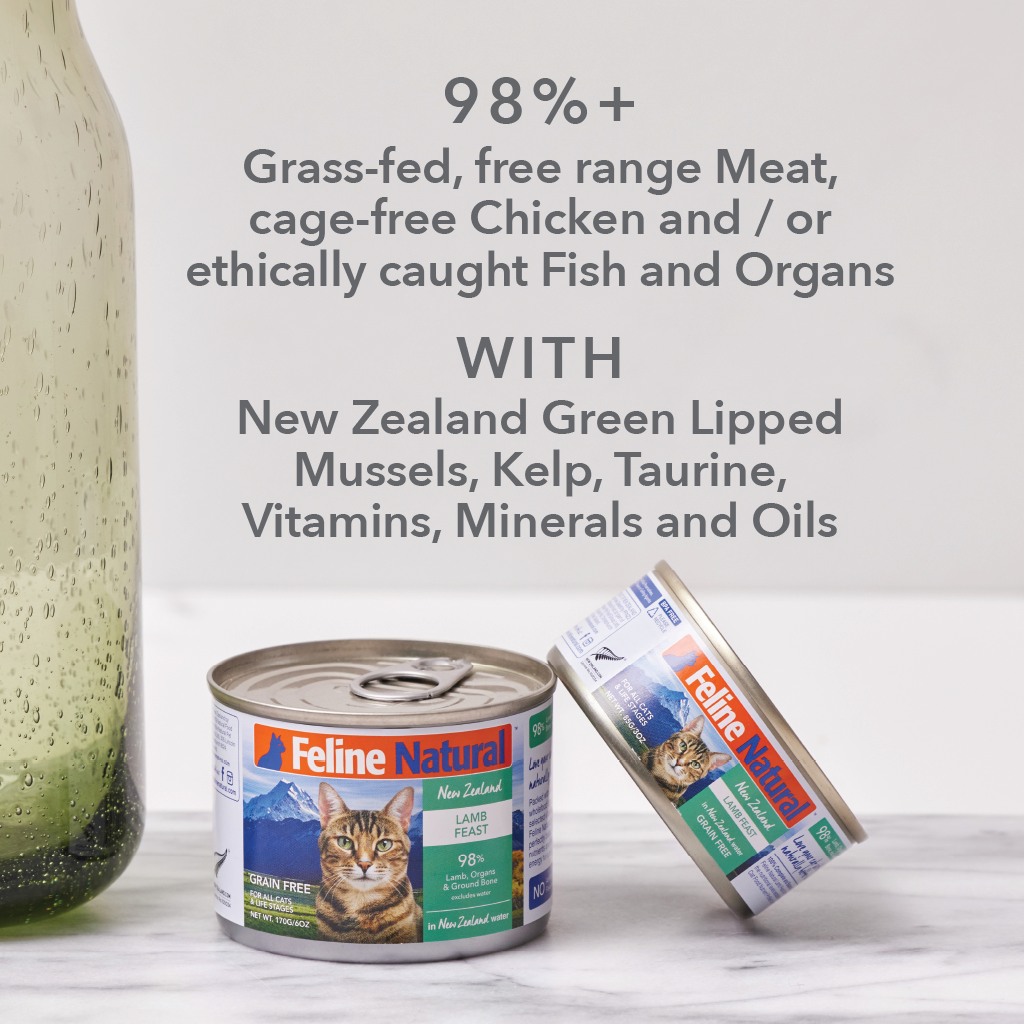 Feline Natural - Canned - Lamb Feast
