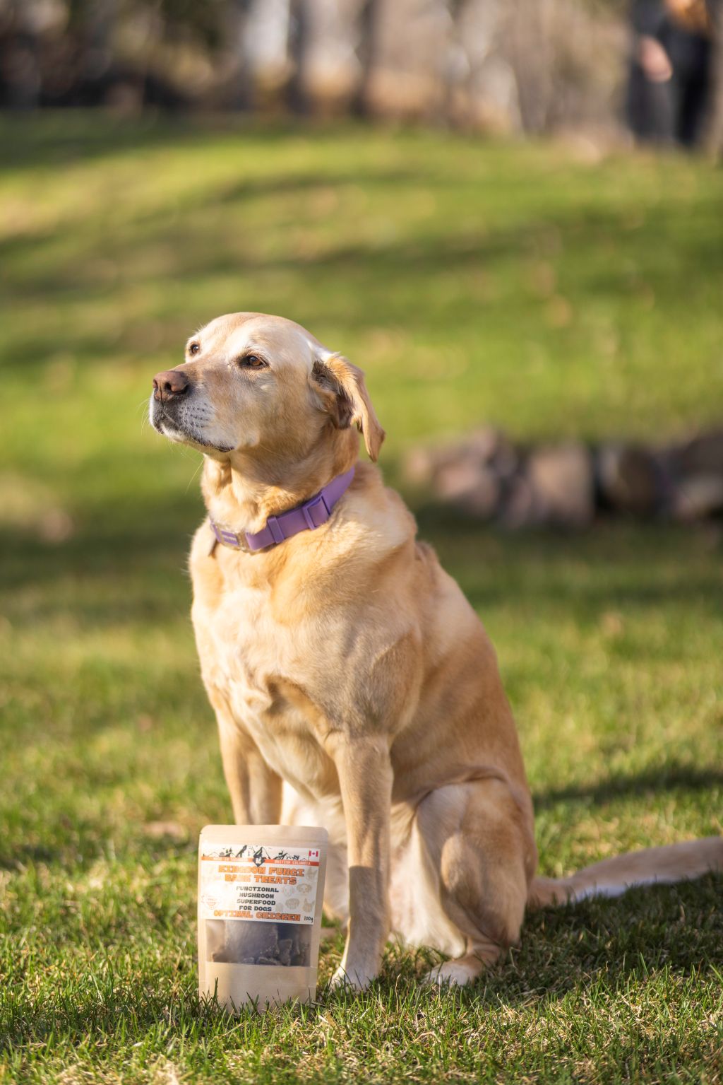 Optimal Chicken URBAN PAW PETS