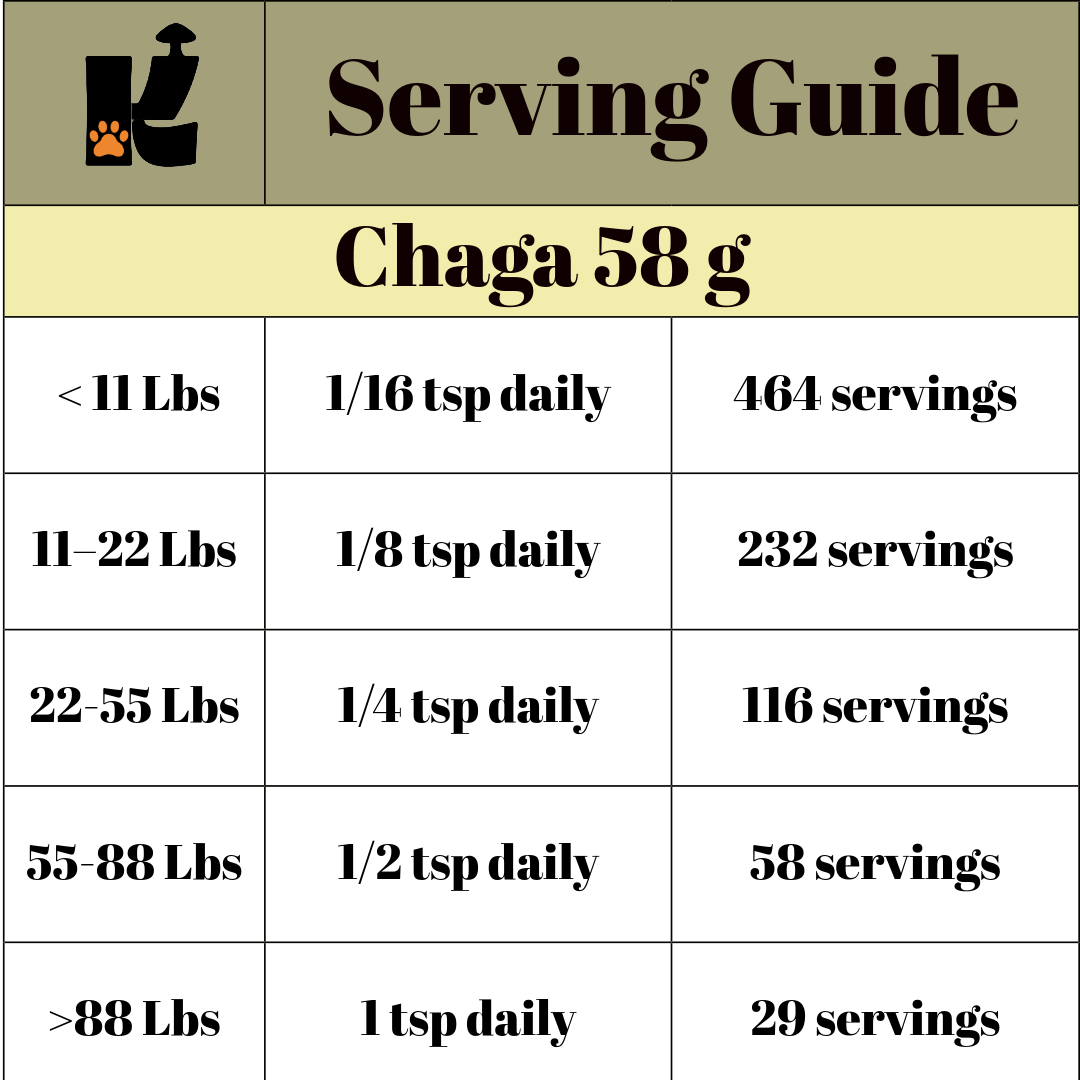 Chaga Mushroom Extract Powder URBAN PAW PETS