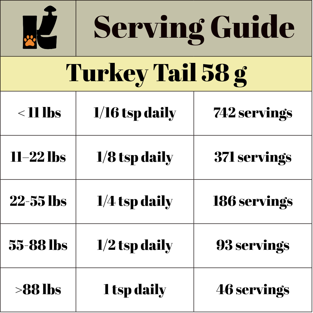 Turkey Tail Mushroom Extract Powder URBAN PAW PETS