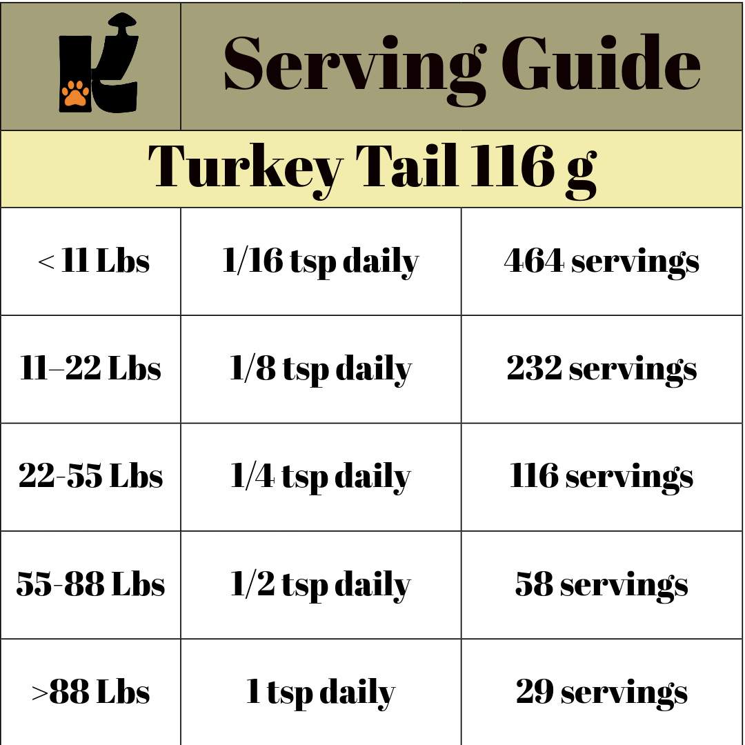 Turkey Tail Mushroom Extract Powder URBAN PAW PETS