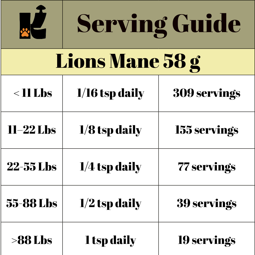 Lion’s Mane Mushroom Extract Powder URBAN PAW PETS