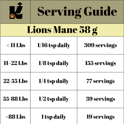 Lion’s Mane Mushroom Extract Powder URBAN PAW PETS