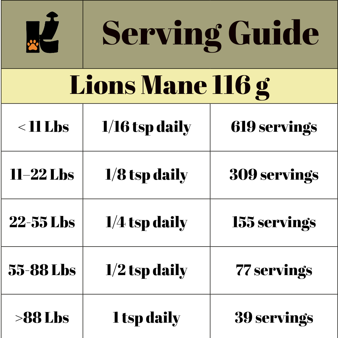Lion’s Mane Mushroom Extract Powder URBAN PAW PETS