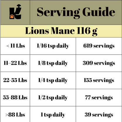 Lion’s Mane Mushroom Extract Powder URBAN PAW PETS