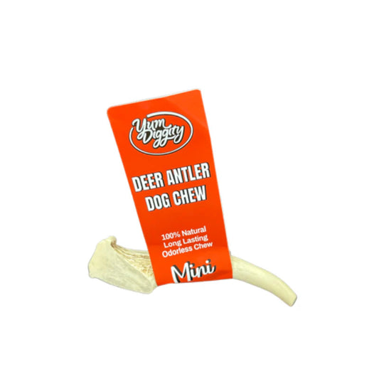 Yum Diggity - DEER Whole Antler Chew URBAN PAW PETS