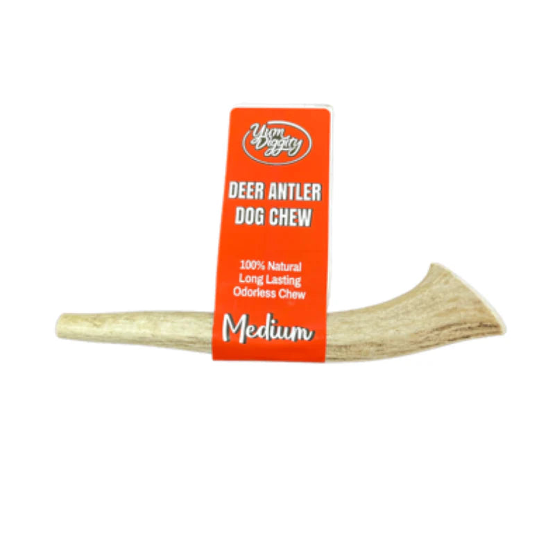 Yum Diggity - DEER Whole Antler Chew URBAN PAW PETS