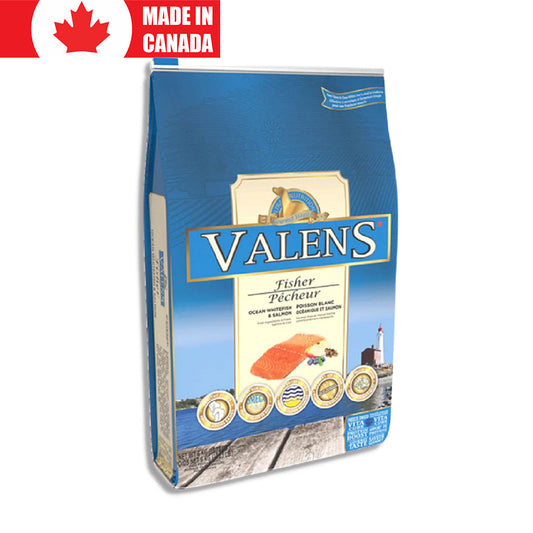 Canine Fisher Valens